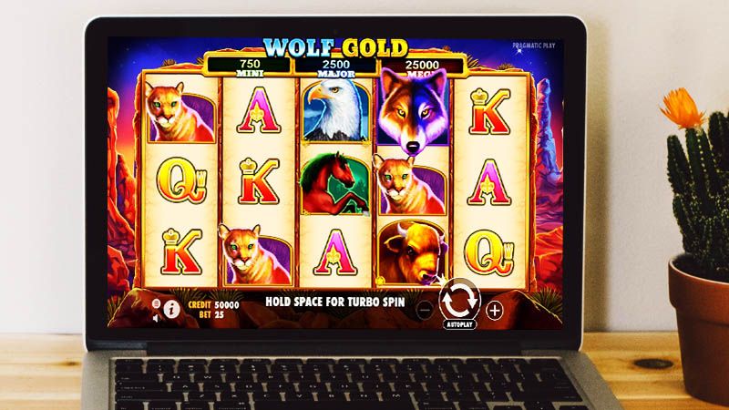 wolf gold slot machine